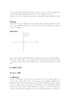 17차 중국진출 마케팅전략분석-11