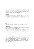 17차 중국진출 마케팅전략분석-12