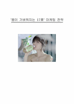 17茶(17차) 4P,SWOT,STP 마케팅전략-1