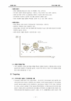 17茶(17차) 4P,SWOT,STP 마케팅전략-11