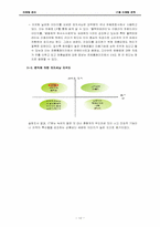 17茶(17차) 4P,SWOT,STP 마케팅전략-13