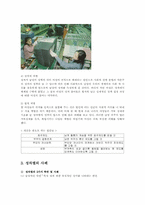 성차별문제의 대응과 사회복지적 차원의 전략00-4
