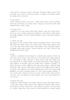 성차별문제의 대응과 사회복지적 차원의 전략00-8