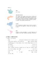 [국제물류전략] P&G의 국제물류 전략-4