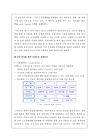 닌텐도 DS와 Wii의 성공요인-2