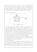 닌텐도 DS와 Wii의 성공요인-3