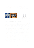 닌텐도 DS와 Wii의 성공요인-6