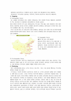 [국제마케팅](주)진로의 중국진출전략-5