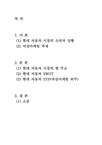 [여성마케팅] 현대자동차 Young Generation 전략-2
