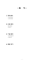[경영분석] 하이닉스 기업 분석 보고서-2