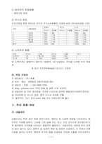사우디아라비아 네일사업진출계획서-3