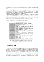 [인터넷 비즈니스] SNS(소셜 네트워크 서비스)와 메가스터디-17