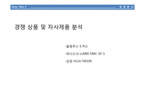 [마케팅전략] 하이브리드 디카 - Sony NEX 3-7