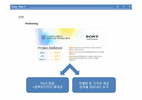[마케팅전략] 하이브리드 디카 - Sony NEX 3-17
