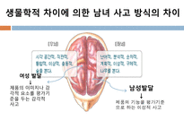 [소비자행동론] 남성 소구 광고와 여성 소구 광고의 메시지 전략 분석 -윈스톰 광고를 통해서-6