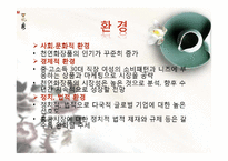 [국제마케팅] 아모레퍼시픽 설화수 브랜드의 홍콩 진출-3