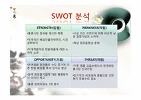 [국제마케팅] 아모레퍼시픽 설화수 브랜드의 홍콩 진출-4