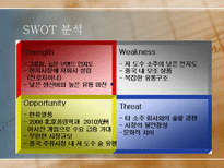 [국제마케팅](주)진로의 중국진출전략-5