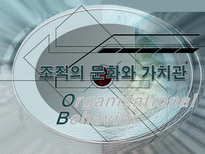 [조직행위] 조직의 문화와 가치관-1