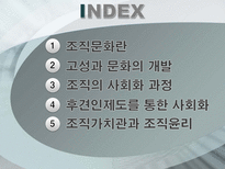 [조직행위] 조직의 문화와 가치관-2