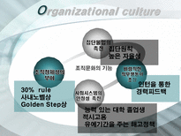 [조직행위] 조직의 문화와 가치관-6