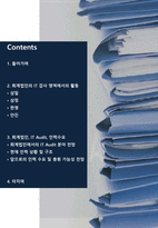 회계법인의 IT 감사 영역에서의 활동-2