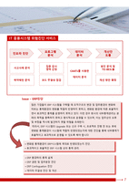 회계법인의 IT 감사 영역에서의 활동-11