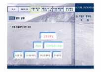 [관광학원론] 호텔업-10