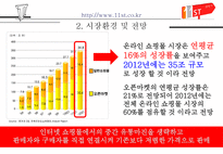 인터넷 쇼핑몰의 마케팅 전략-11