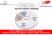 인터넷 쇼핑몰의 마케팅 전략-12