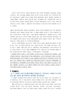스칸디나비아항공사 항공사 성공사례 및 마케팅 전략-4
