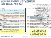 [국제경영] AMOREPACIFIC 아모레퍼시픽 해외진출 국제화전략, 위험요소인식 및 전략-12