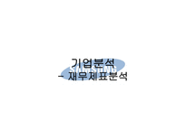 [재무관리] 삼성전자 기업분석-12