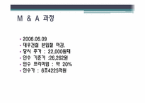 [재무전략] 대우건설 M&A 실패 사례-17