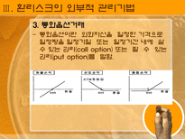 환위험관리상품-17