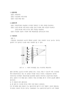 [물리실험] 슬릿 회절 실험-2