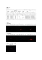 [물리실험] 슬릿 회절 실험-9