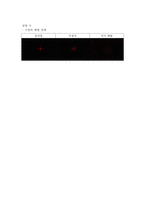 [물리실험] 슬릿 회절 실험-10