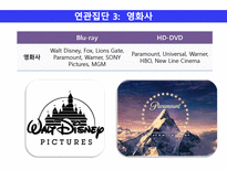[과학기술] 차세대 DVD 기술표준 선정과정과 연관사회 집단 분석 -SCOT이론을 중심으로-19