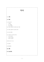 아이돌 문화와 섹슈얼리티 -걸 그룹을 중심으로-2