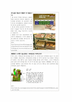 [사회문제] 과대포장의 문제점과 사례-11