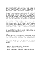 중국의 CSR, CCI 레포트-13