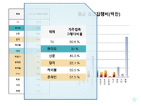 디지털 시대와 문화 -광고-7