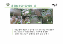 이니스프리 광고비평-9