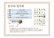 세계문화유산 등재 가능성이 있는 대상 - 반구대 암각화, 천전리 각석-5