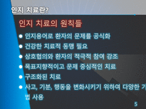 [상담이론] 인지치료-5