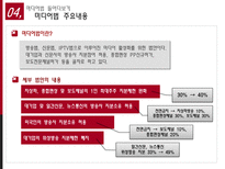 미디어법에 대해서-12