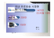 유료 방송 문제점과 대안-4