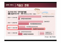 저출산 해결을 위한 정부정책과 대책방안-8
