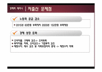 저출산 해결을 위한 정부정책과 대책방안-13